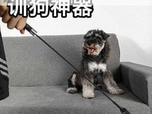 k9 调狗的任务——高效、智能的宠物训练工具