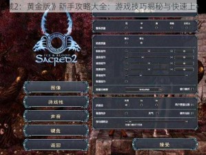 《圣域2：黄金版》新手攻略大全：游戏技巧揭秘与快速上手指南