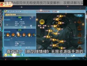 剑侠情缘手游A级同伴无相使用技巧深度解析：攻略详解与实战指南