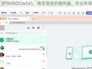 老太太 VPSWINDOWS45，稳定高效的服务器，的业务保驾护航