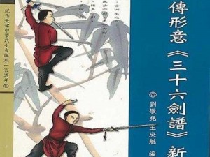 《甲级剑韵：武功剑意图鉴探秘》