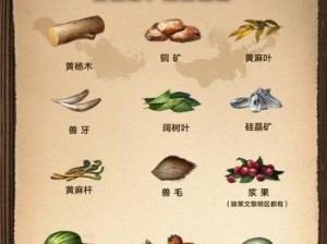 明日之后哈密瓜新领地探寻：掌握最佳种植位置与收成秘密