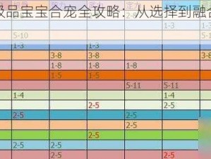 梦幻西游手游极品宝宝合宠全攻略：从选择到融合的详细步骤解析