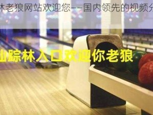 仙踪林老狼网站欢迎您——国内领先的视频分享平台