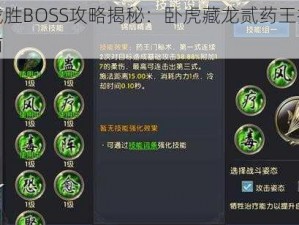 完美战胜BOSS攻略揭秘：卧虎藏龙贰药王技能搭配指南