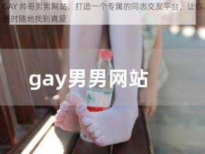 GAY 帅哥男男网站，打造一个专属的同志交友平台，让你随时随地找到真爱