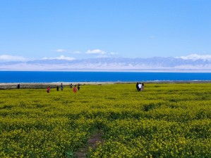 江湖迷雾中的探险之旅：雾罩此江第二关攻略与攻略揭秘