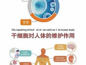 四叶草私人研究所的研究成果——全球首款抗衰老药物即将问世