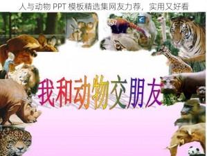 人与动物 PPT 模板精选集网友力荐，实用又好看