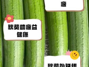 绿巨人污秋葵草莓黄瓜荔枝丝瓜 z 高清影视播放器，提供丰富的视频资源，畅享视觉盛宴