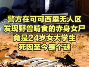 国产无人区卡二卡三乱码——专业的无人区导航软件，保驾护航