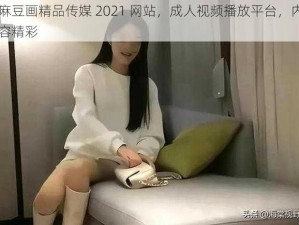 麻豆画精品传媒 2021 网站，成人视频播放平台，内容精彩