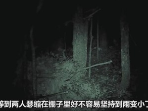 无人区一码二码高高，助力你的荒野求生之路