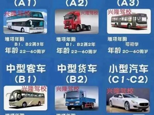 国产 A1A2A3，高品质经济型轿车，经济实用，性价比高