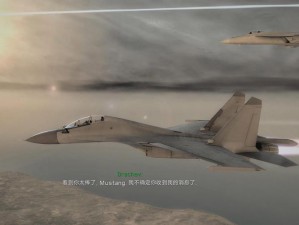 《鹰击长空2：破解游戏攻略与主菜单无限退回解决方案》