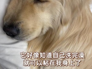 和狗狗卡了一晚上，它好像有很多话要对我说