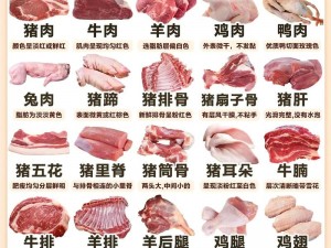 全部都是肉的总攻，精选高品质肉类原料，零添加，口感鲜美，营养丰富