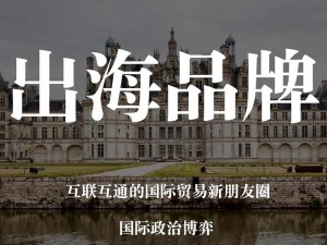 助力品牌出海，提升全球影响力——国外 B 站推广网站