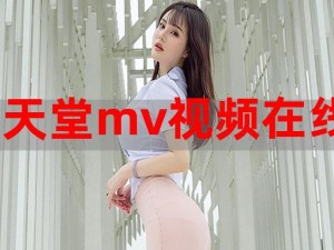 欧美 MV、日韩 MV、国产网站，高清视频资源应有尽有