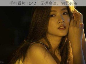 手机看片 1042：无码高清，宅男必备