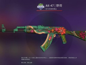 csgo 高清大片 9551819：带给你极致视觉体验的游戏装备