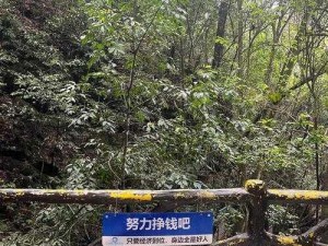 老公带我去跟别人玩的地方，怎么办？：探索旅游保险，保障你的安心旅程