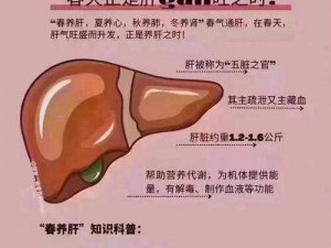 办公室强肝为啥要三集？一款专为办公族设计的养肝产品