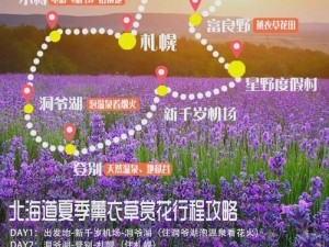 薰衣草研究所 APP：了解薰衣草，从这里开始