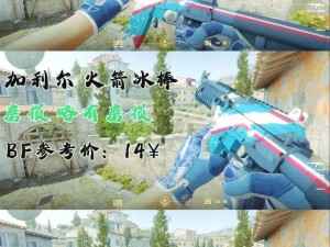 暴躁妹妹 csgo 暴躁老外力荐的游戏神器