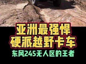 亚洲无人区码 SUV，性能卓越，带你征服每一段未知的旅程