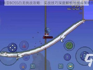 泰拉瑞亚BOSS白龙挑战攻略：实战技巧深度解析与战斗策略探讨