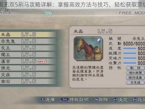 真三国无双5刷马攻略详解：掌握高效方法与技巧，轻松获取顶级战马