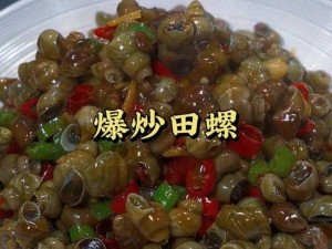 笨蛋炮灰总被爆炒：一款全新的爆炒美食，让你体验不一样的口感