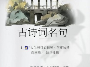 久久精品 18：珍藏十八年的文化瑰宝，品味时光的韵味