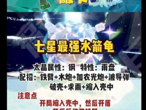 魔法圣剑宠物品阶提升攻略：详解升级方法与技巧