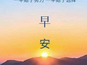 正能量不良 WWW 免费窗口：给你带来无限正能量的免费窗口