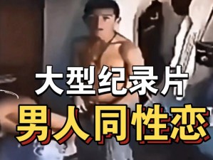 国产 CHINESE 男男 GAY 片：真实还原同志生活，满足你的一切想象