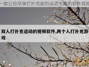 一款让你尽享打扑克剧烈运动乐趣的软件视频