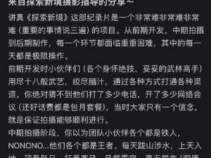 VGAME奇谈异事：法尔搭档攻略——打造完美合作伙伴的秘诀探索