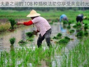 夫妻之间的 108 种插秧法助你享受亲密时光