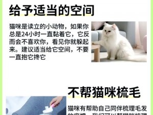 可爱猫咪养成指南😺🐾