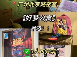 密室逃脱绝境系列5第5关攻略：揭秘谜团，智胜挑战游戏通关秘籍全解析