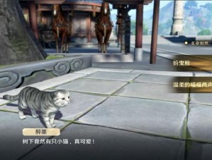 天涯明月刀手游：猫之友触发秘籍揭秘，如何成为真正的猫友？