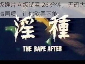 一级婬片 A 级试看 26 分钟，无码大片，高清画质，让你欲罢不能