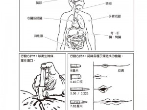 江湖求生秘籍揭秘：掌握秘传招式探知与领悟之法