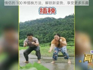 情侣的 100 种插秧方法，解锁新姿势，享受更多乐趣