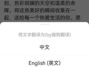 ばかなロバ私を烦わすな智能翻译助手，高效准确翻译各种语言