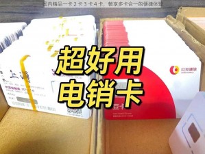 国内精品一卡 2 卡 3 卡 4 卡，畅享多卡合一的便捷体验