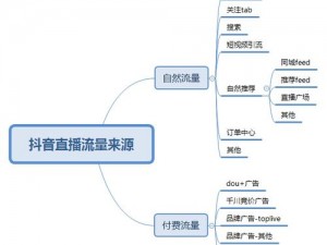 抖音热门直播功能详解：互动流量与收益全攻略