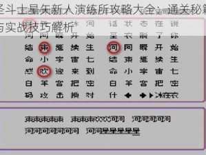 圣斗士星矢新人演练所攻略大全：通关秘籍与实战技巧解析